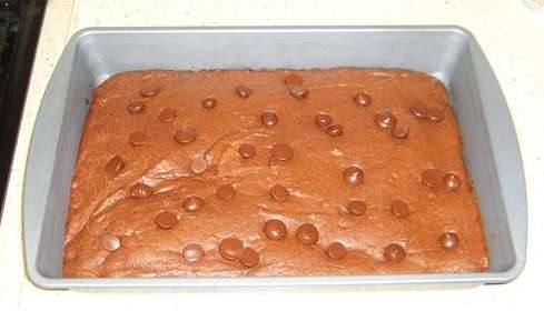 Linda's brownies topped with chocolate chips