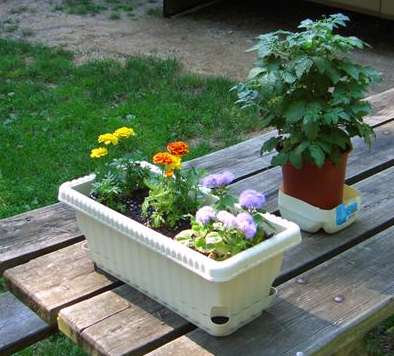 Linda's portable garden