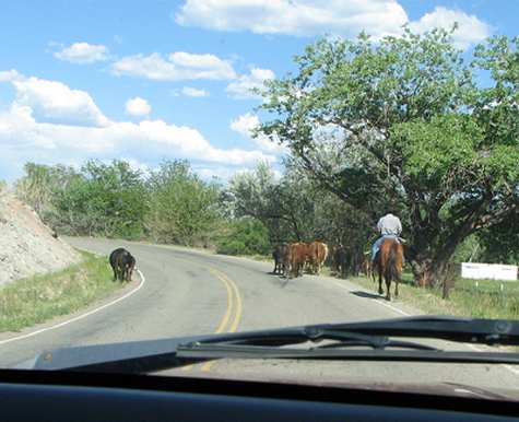 Head them up and move them out, Rawhide, Crrrrrrack