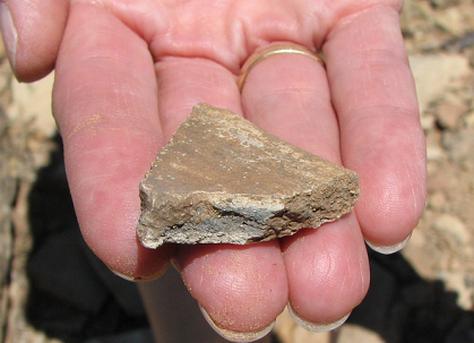 What the sherd tells