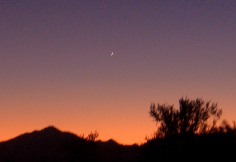 Venus, the Goddess of love, with sunlight in her hair