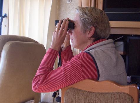 Lady with binoculars