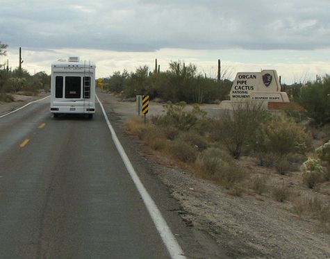 What's an organ pipe cactus?