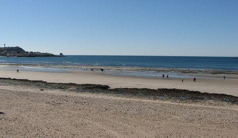 Beach scene