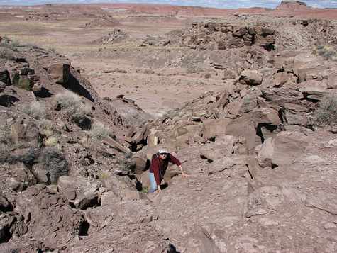 Mountain climbing momma