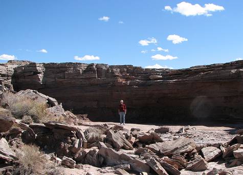 Petrified Forest nymph standing before the falls