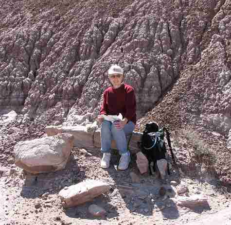 Lunchtime in the Painted Desert