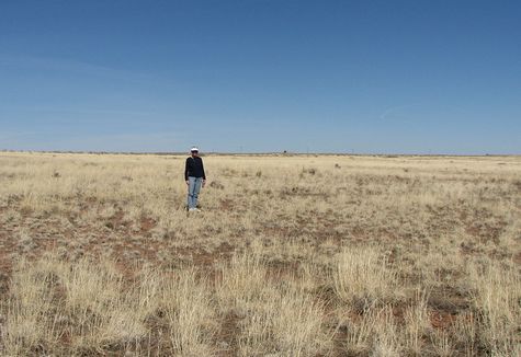 Short grass prairie