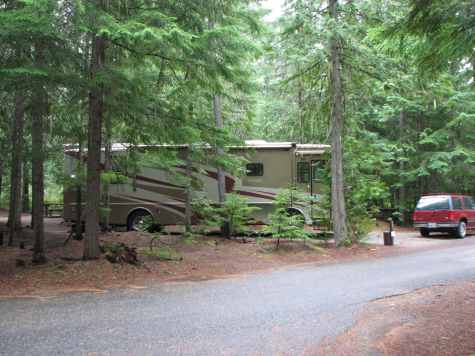 Forest hide-away