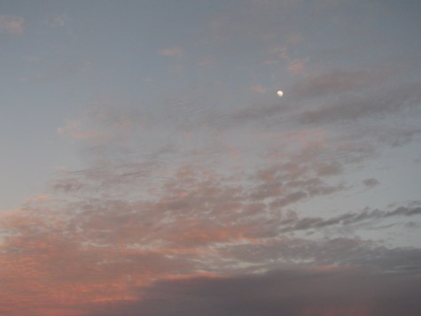 Desert moonrise