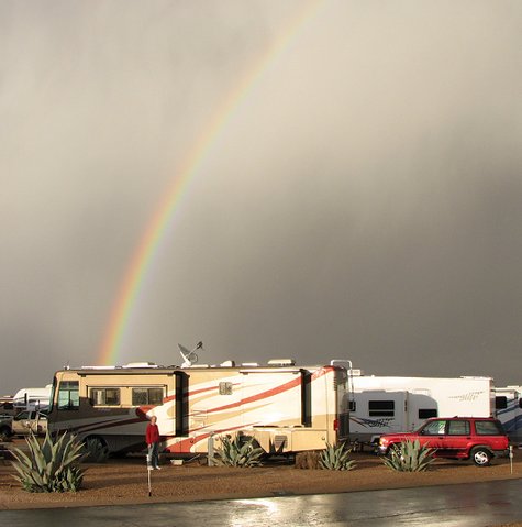 Beauty in the desert