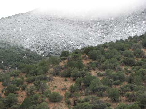 Snowy mountains majesty